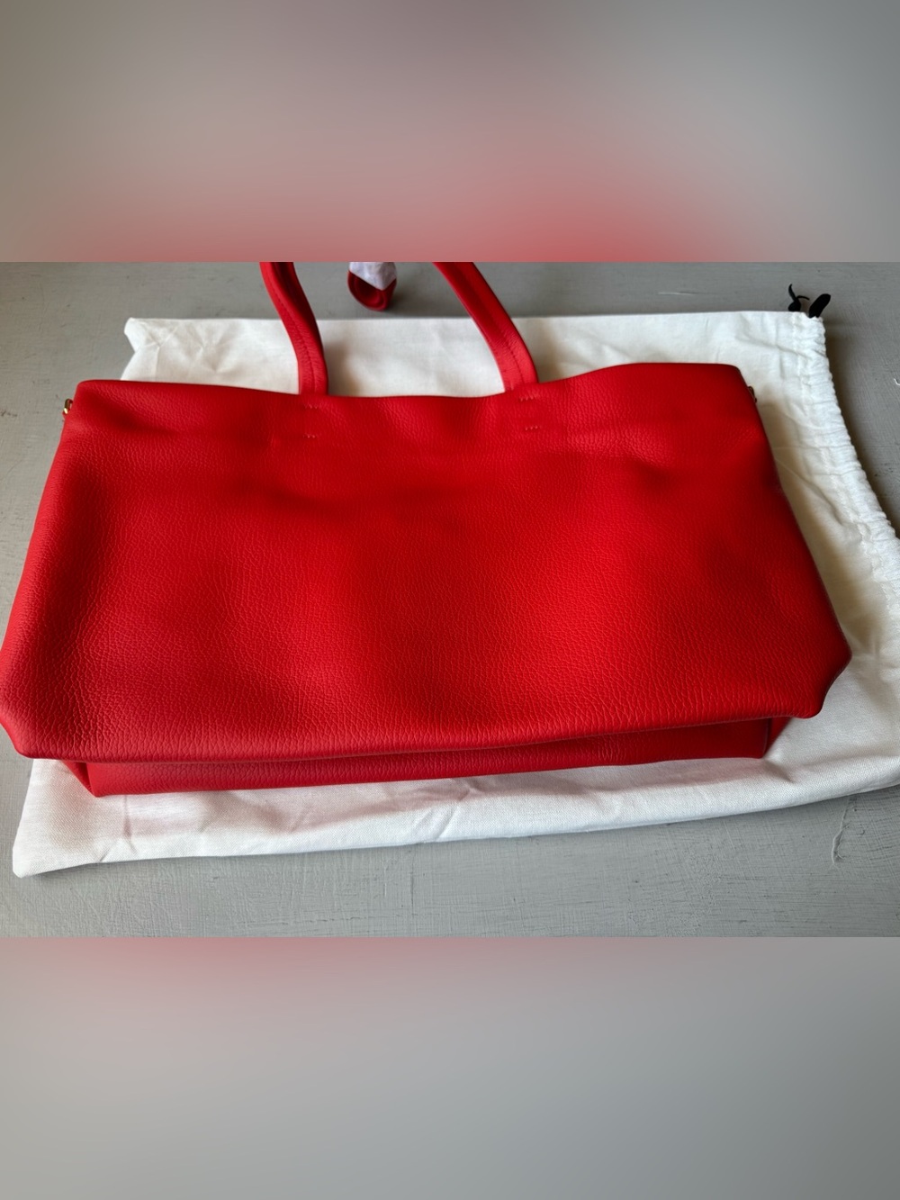 NWT Cuyana Small Easy Zipper Tote in Chili - Picture 9 of 12